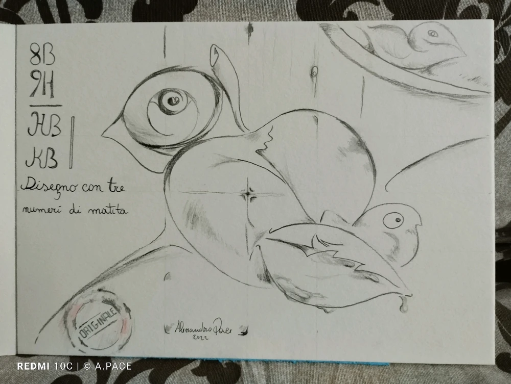 Immagine caricata da Alessandro | alpacigno