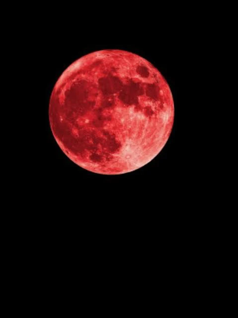 Image uploaded by Payel