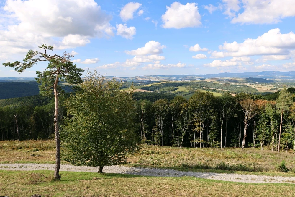 Fotku nahral/-a Gabriel