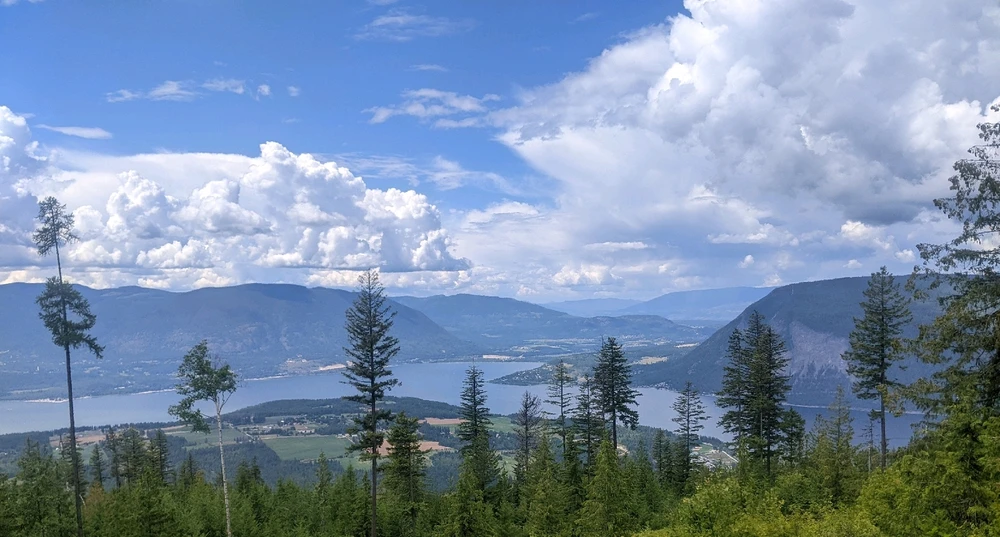 Image uploaded by Melissa