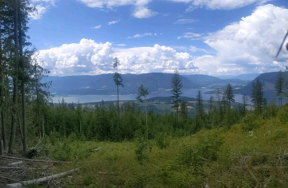 Image uploaded by Melissa