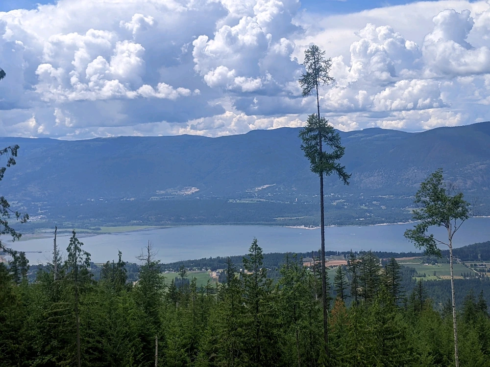 Image uploaded by Melissa