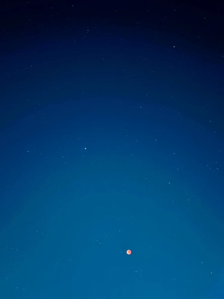 Johnがアップロードした画像