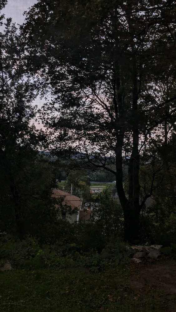 GIF uploaded by AlexT