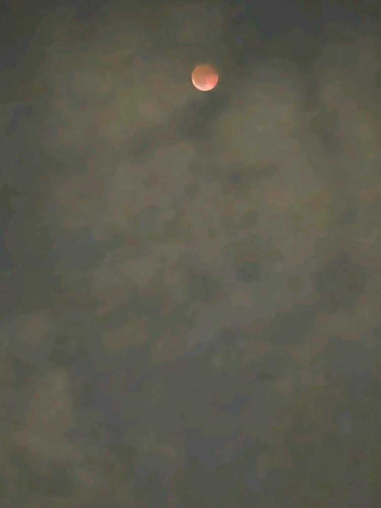 GIF uploaded by Dr Kieti