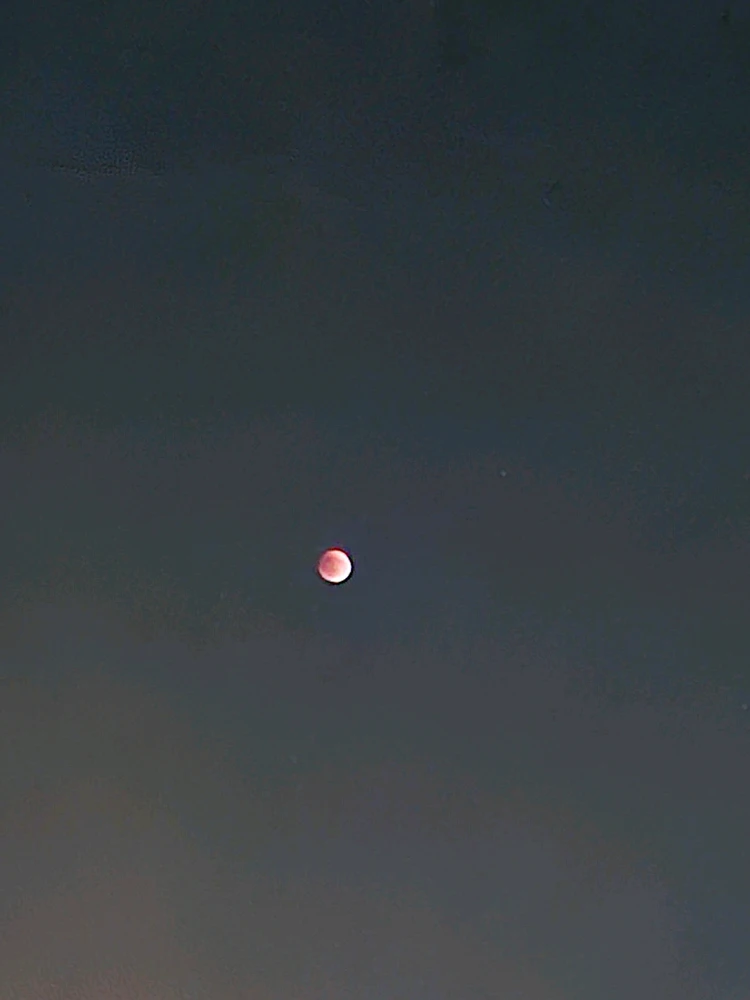 Image uploaded by Mohadese