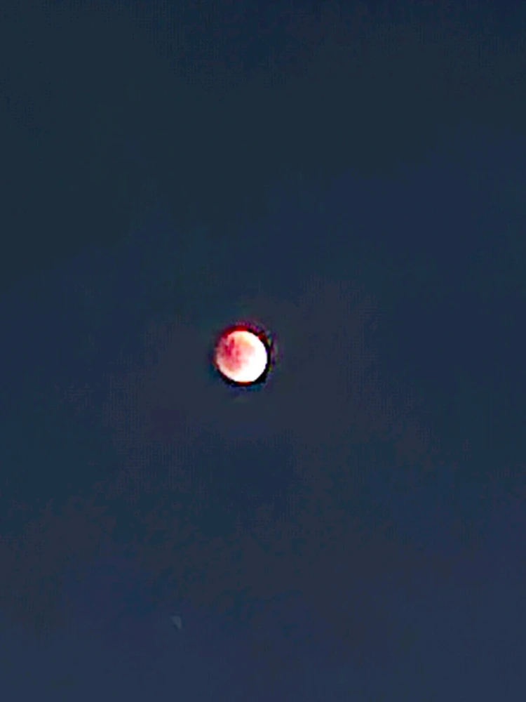 Image uploaded by Mohadese