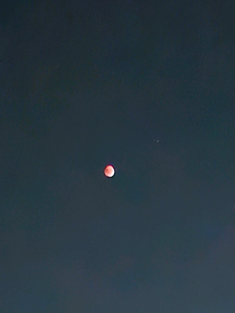 Image uploaded by Mohadese