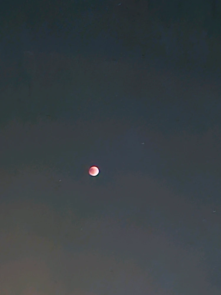 Image uploaded by Mohadese