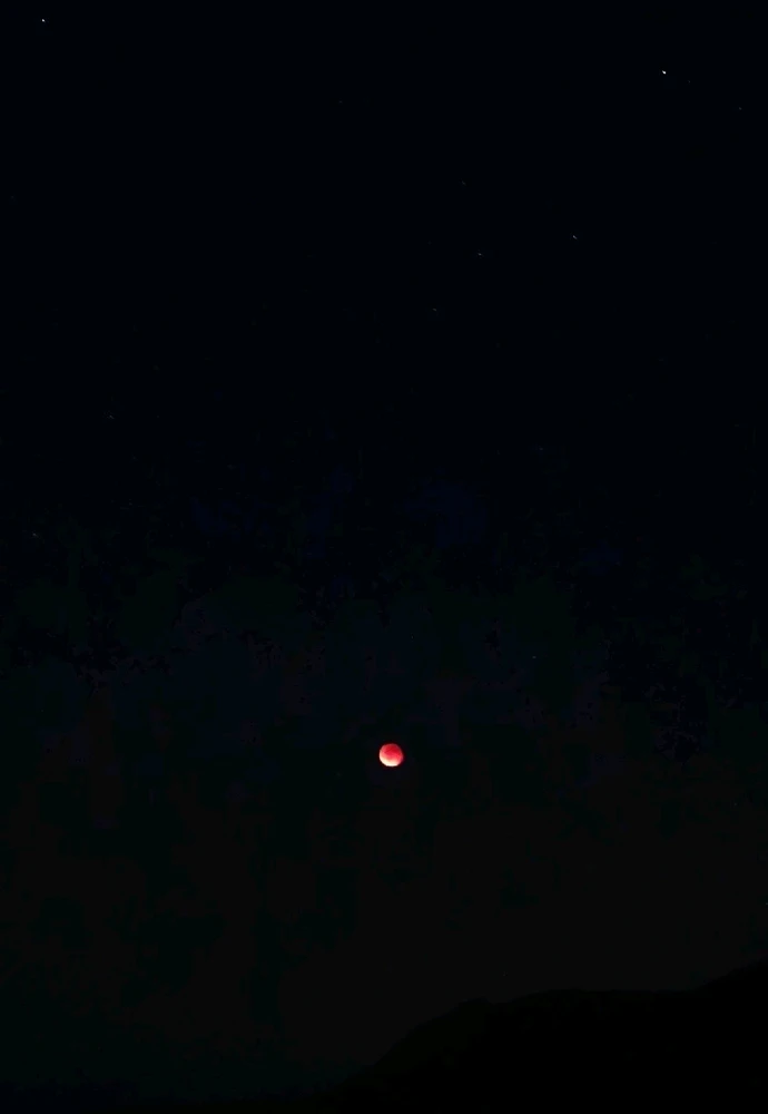 Image uploaded by Nanaki