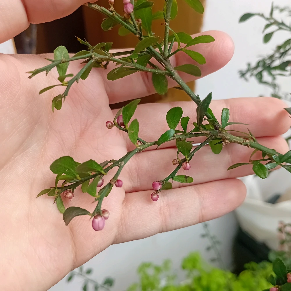 GIF subido por Mauro