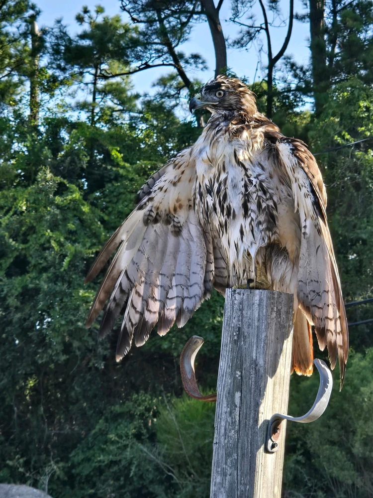 GIF uploaded by John