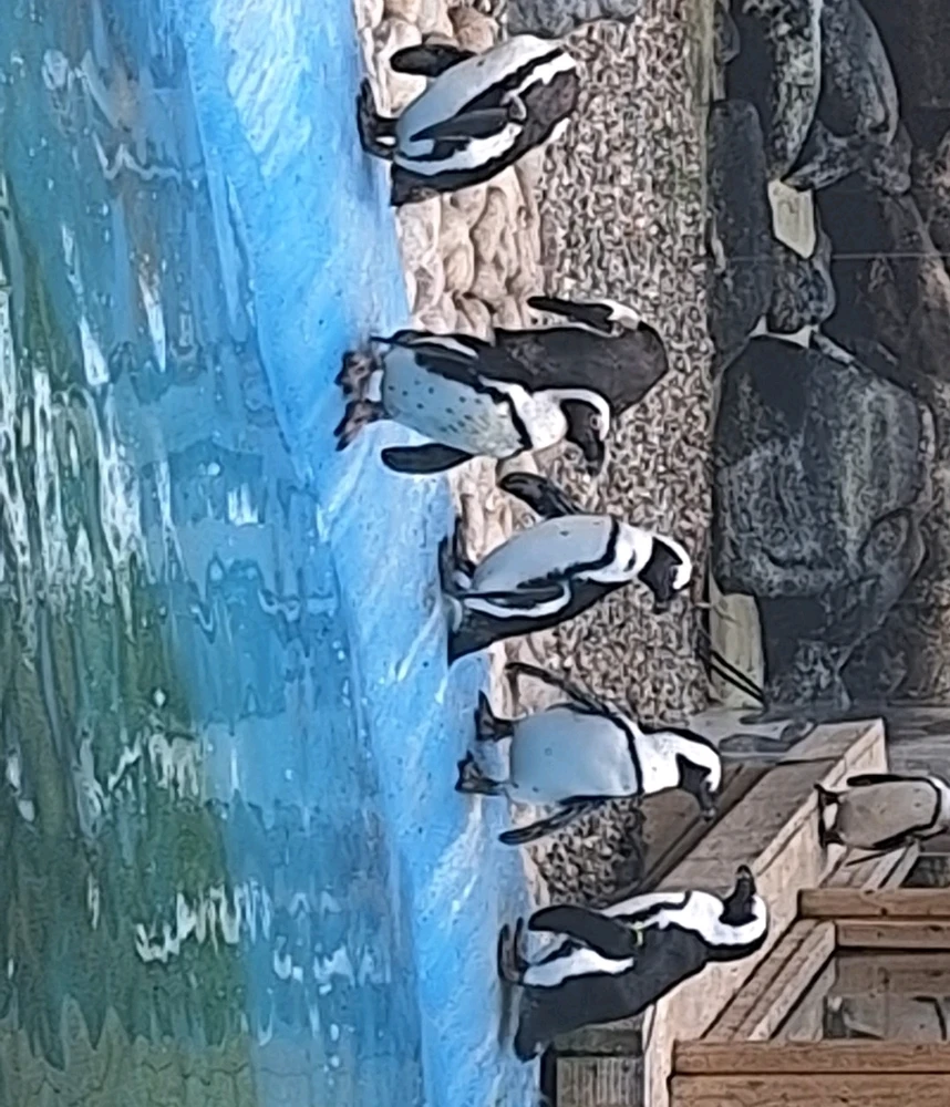 GIF uploaded by Nathan