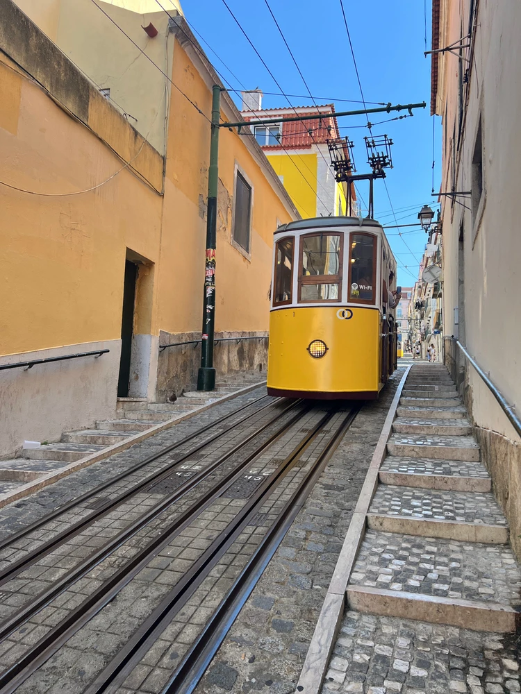 Image uploaded by Tomson Mal