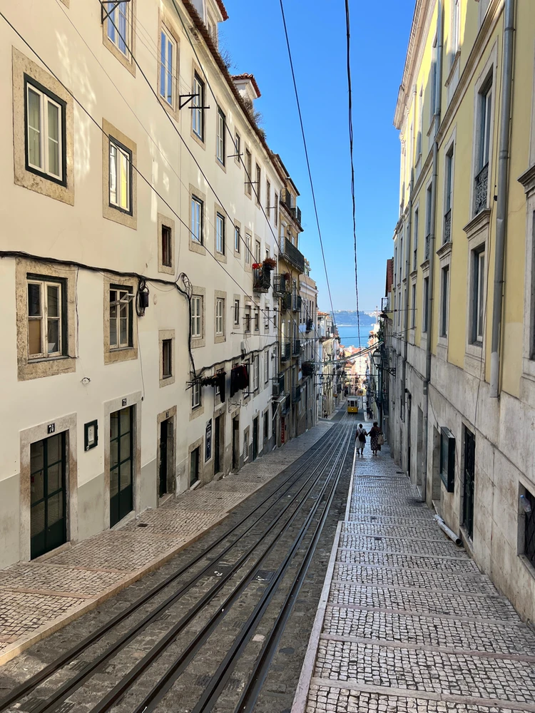 Image uploaded by Tomson Mal