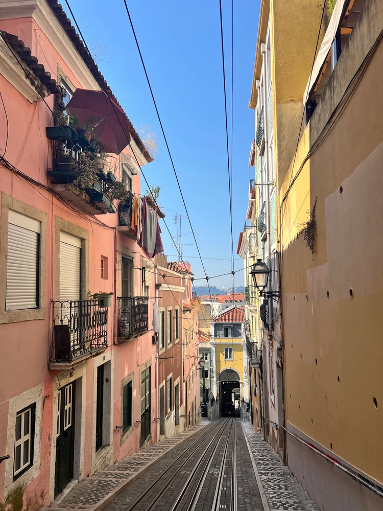 Image uploaded by Tomson Mal