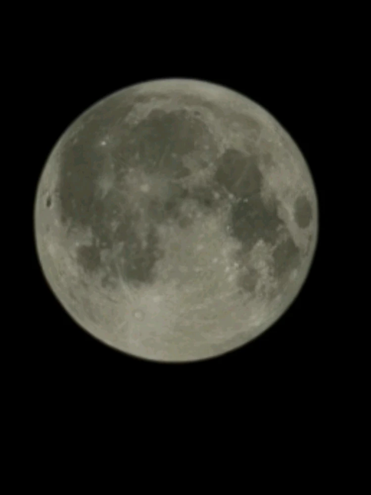 GIF uploaded by Victoria