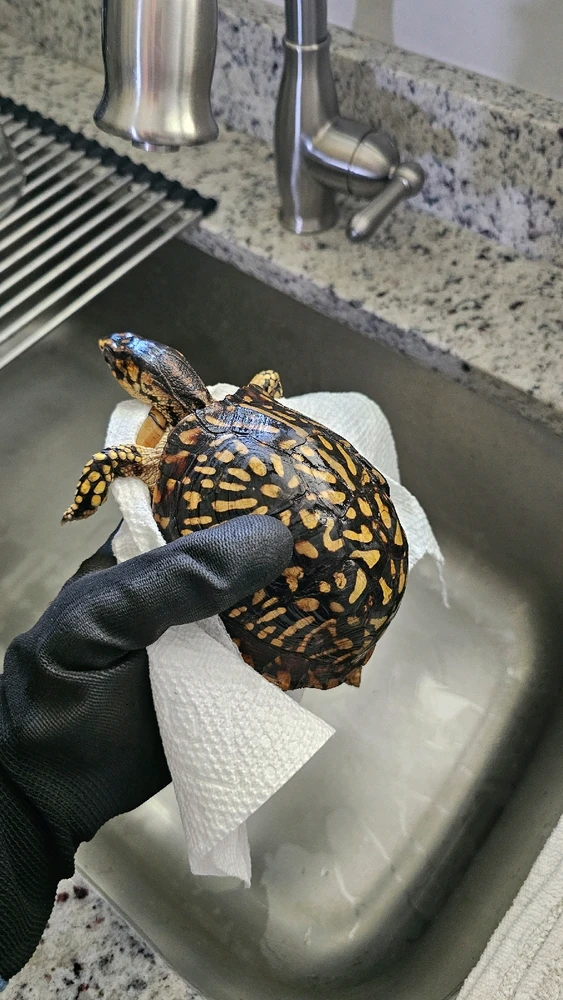 GIF uploaded by Richie