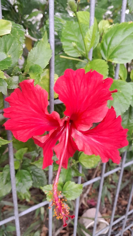 GIF uploaded by Ray