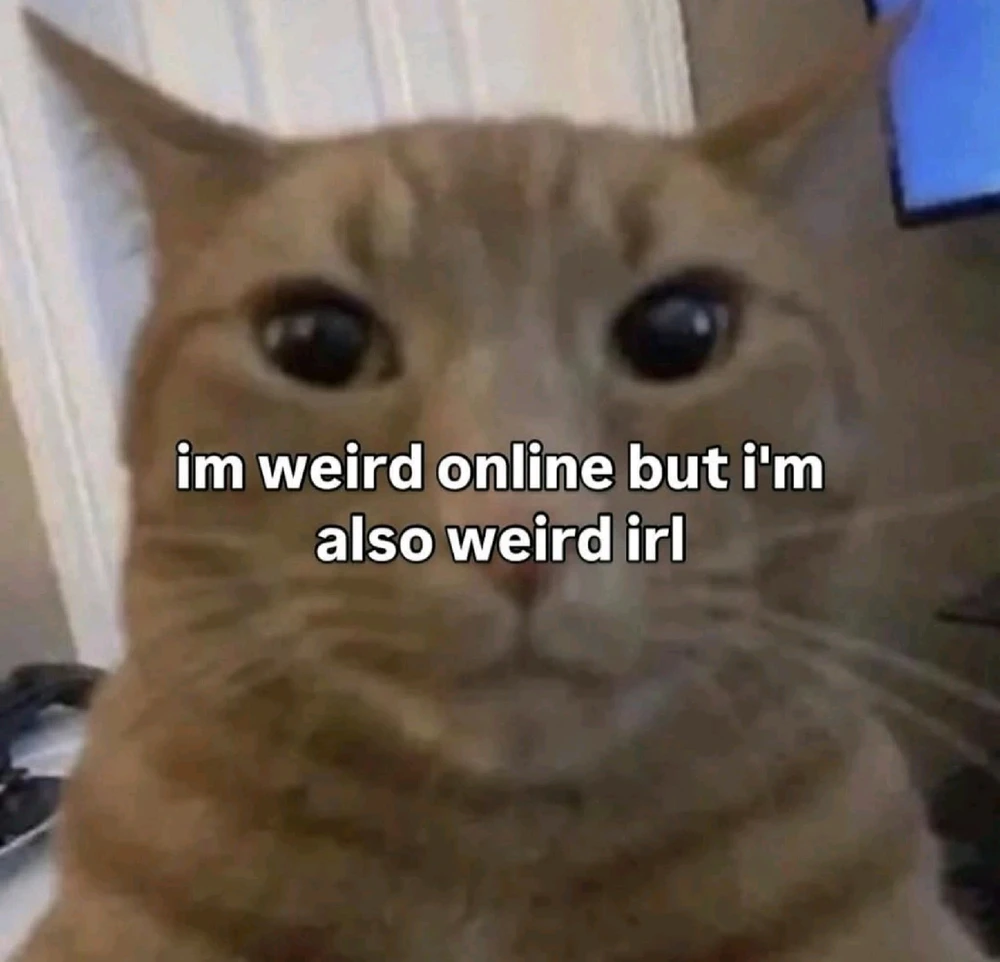 INTPs doing INTP stuff. 😭😭😭