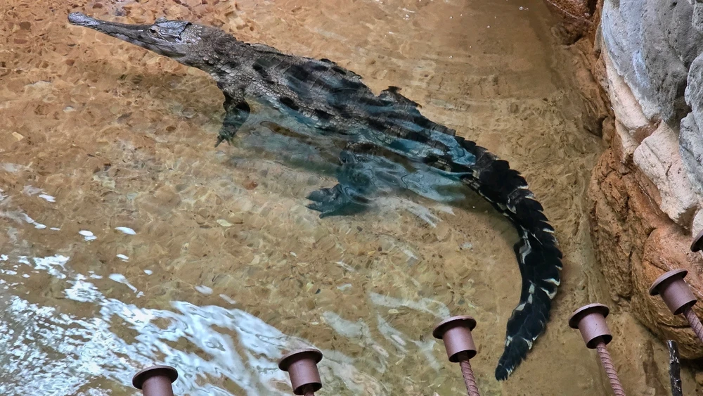 Image uploaded by Josh