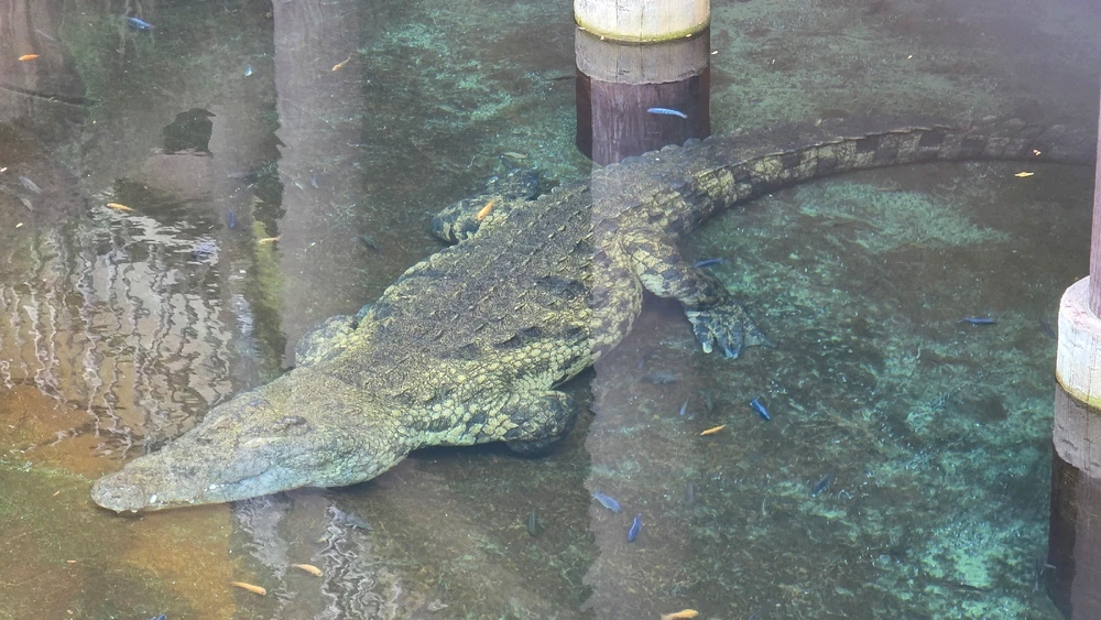 Image uploaded by Josh