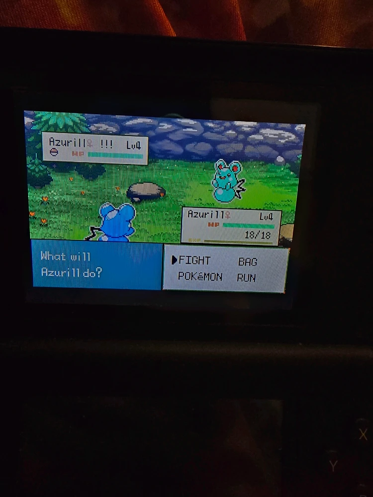 Image uploaded by Kayla