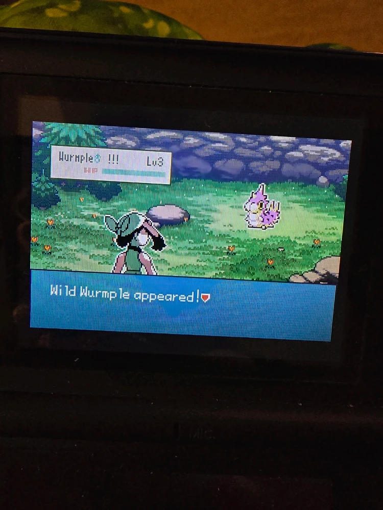 Image uploaded by Kayla