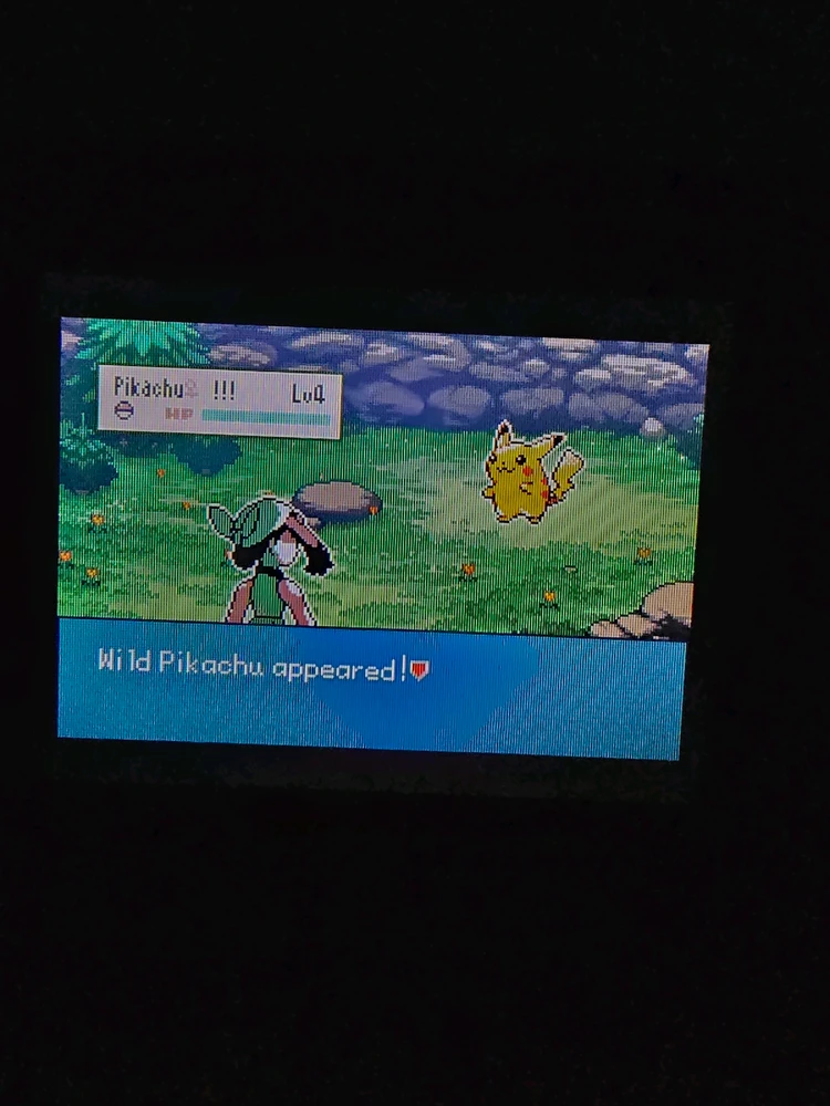 Image uploaded by Kayla