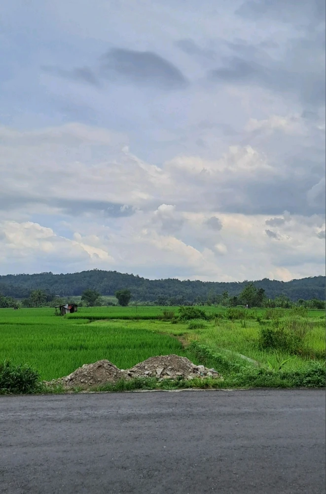 GIF diunggah oleh Tiwi