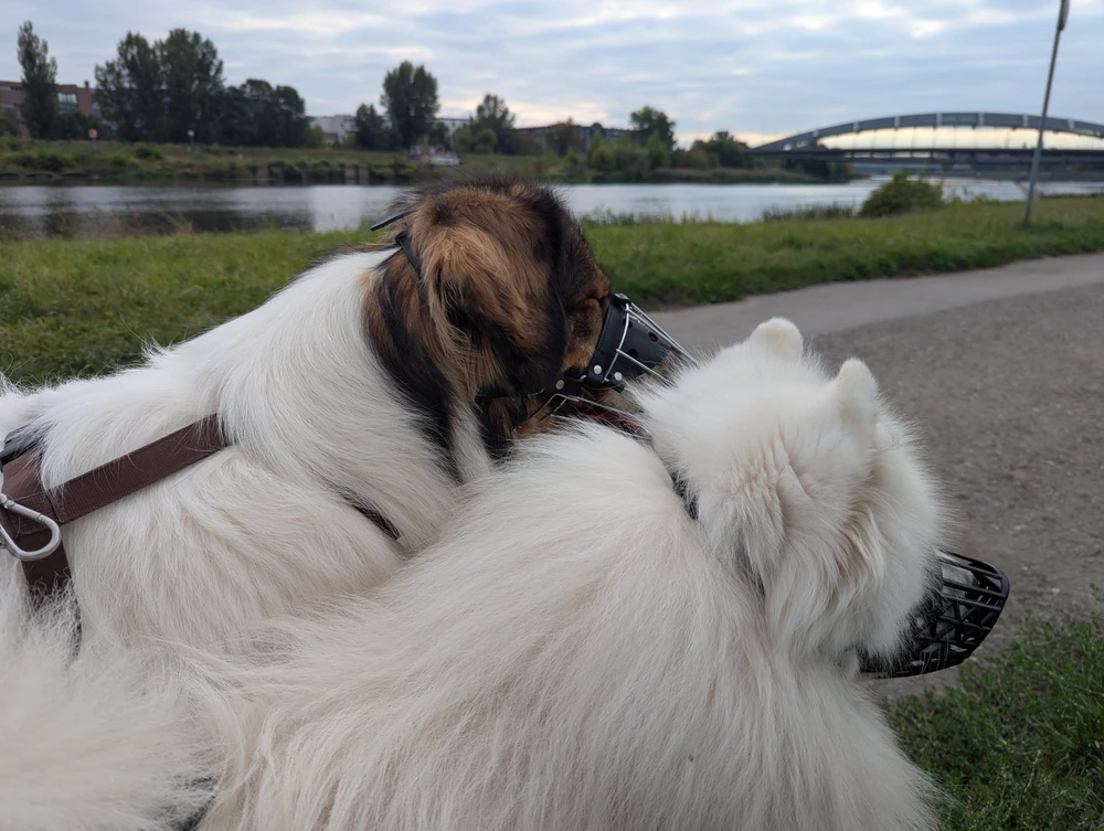 Nowe ulubione słowo