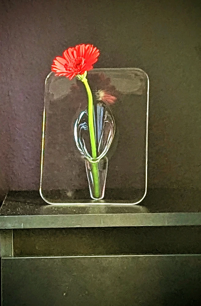 GIF hochgeladen von Iri