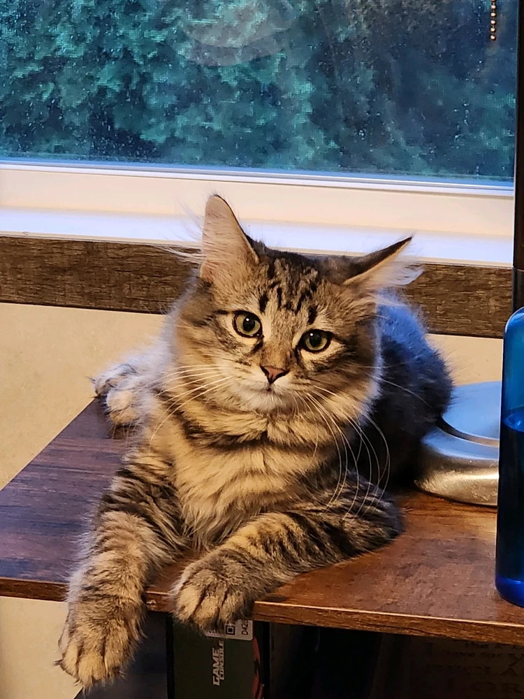 GIF uploaded by Dale