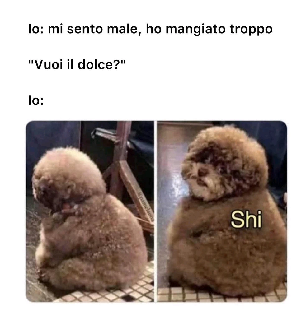 GIF caricata da Dario