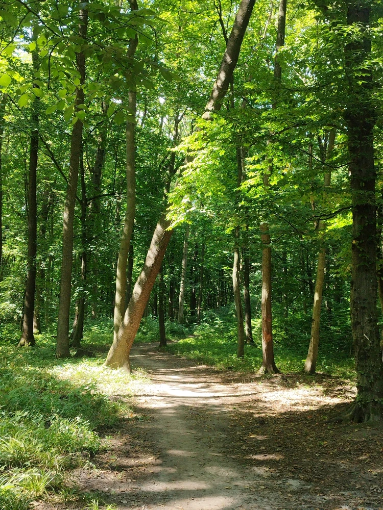 Зображення завантажив Maria