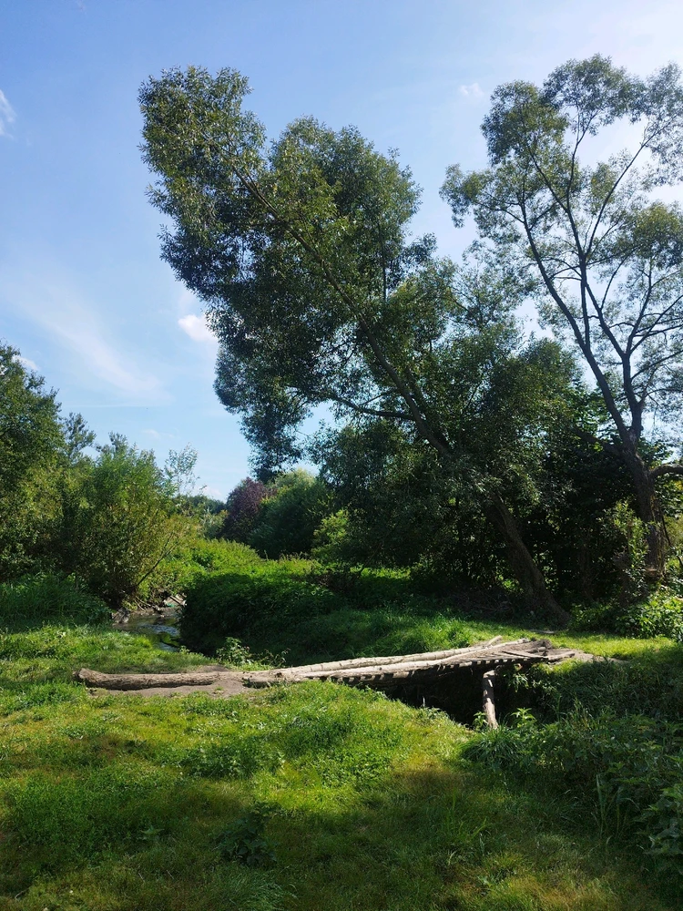 Зображення завантажив Maria