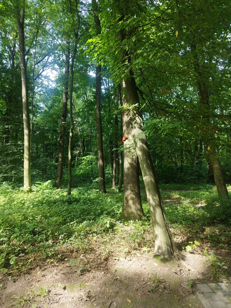 Зображення завантажив Maria