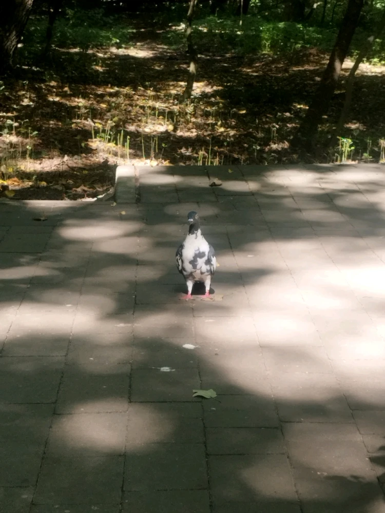 Зображення завантажив Maria