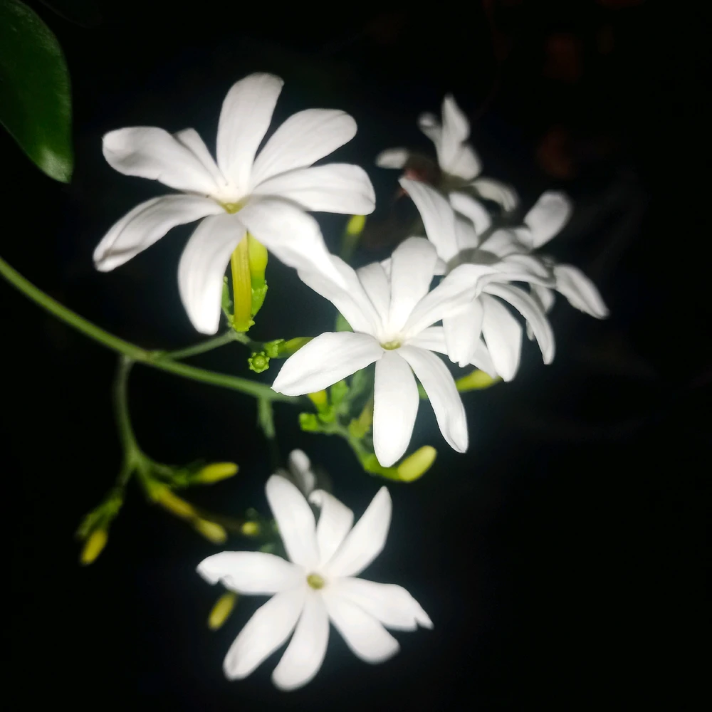 GIF uploaded by Bharath