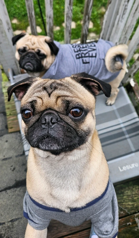 GIF uploaded by Ashley