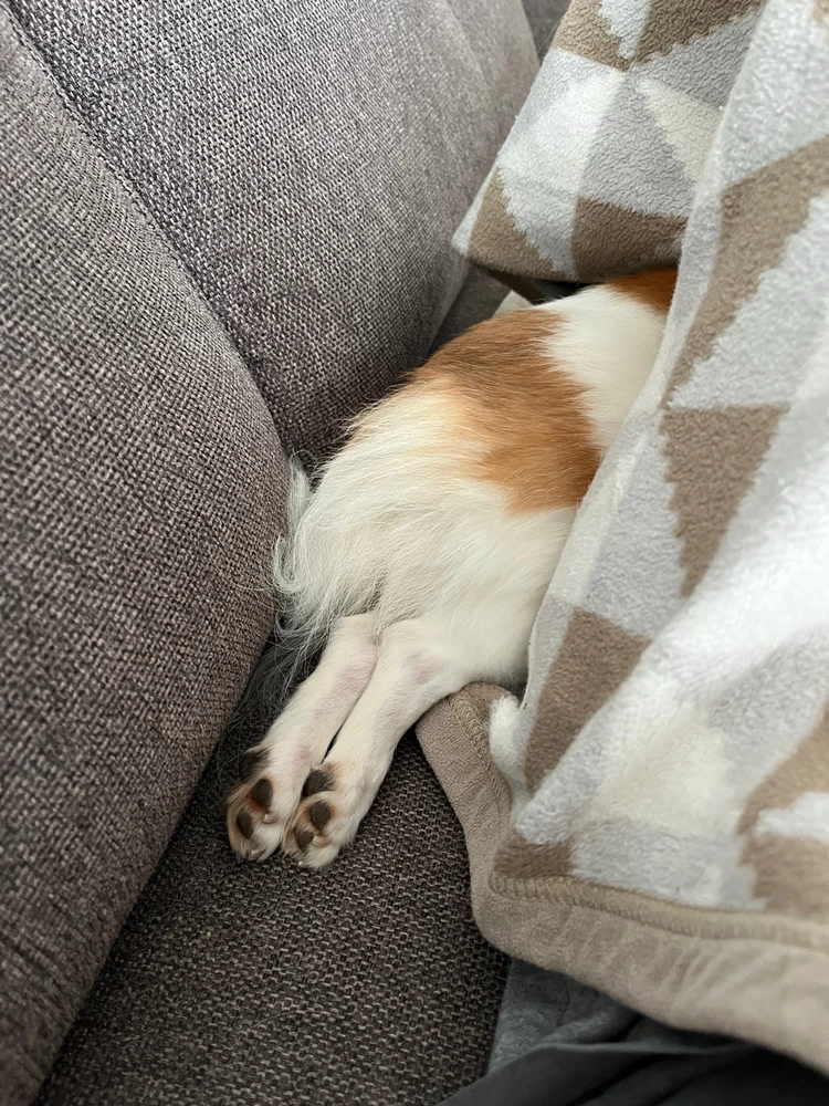 GIF uploaded by Ivana