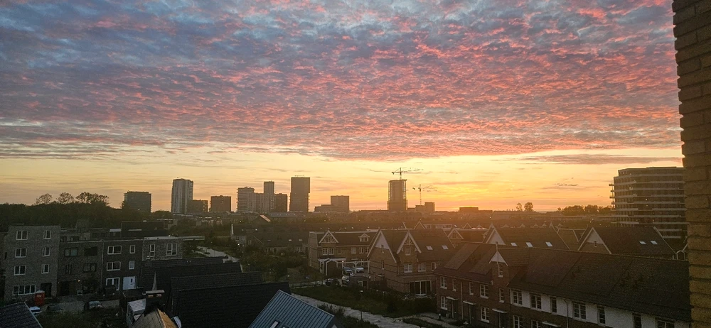 Image uploaded by Patrick