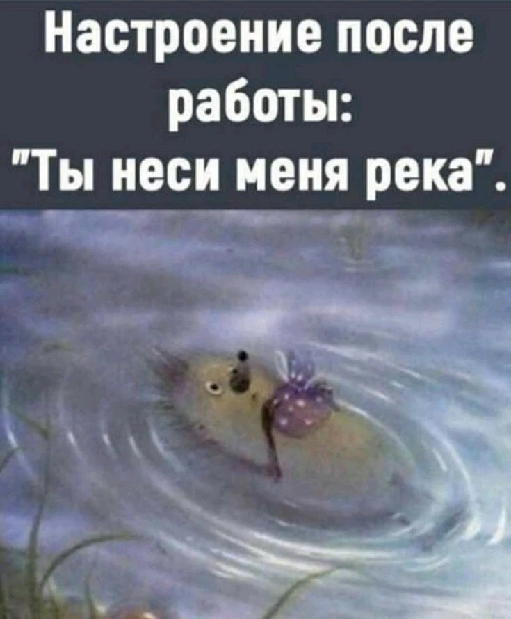 GIF загрузил Ольга