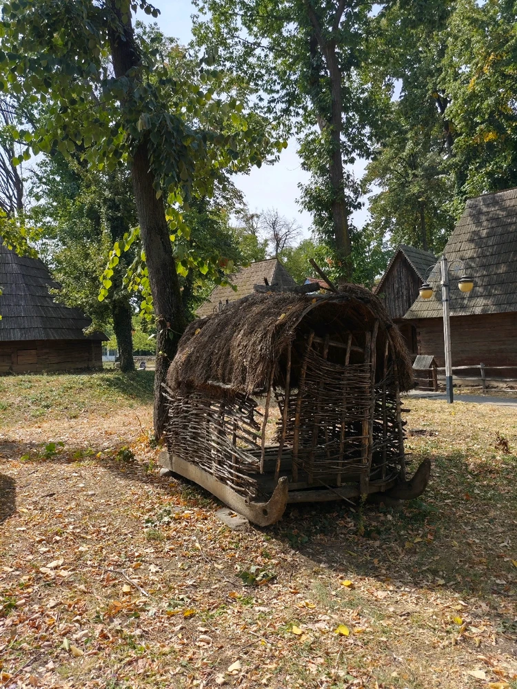 Image uploaded by Cristina