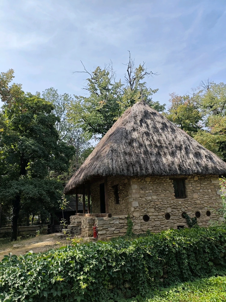 Image uploaded by Cristina