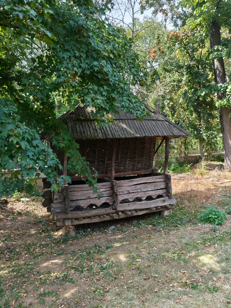 Image uploaded by Cristina