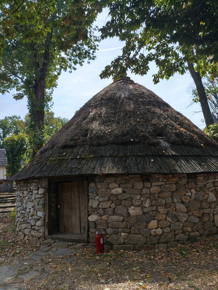 Image uploaded by Cristina