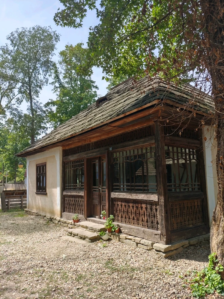 Image uploaded by Cristina