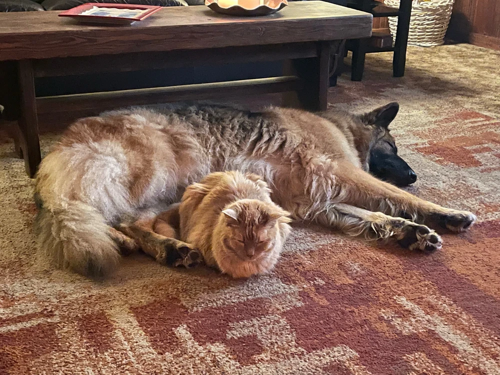 Image uploaded by Robbie