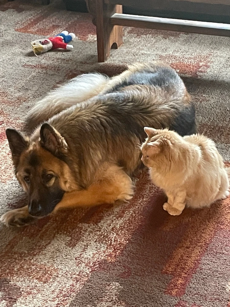 Image uploaded by Robbie